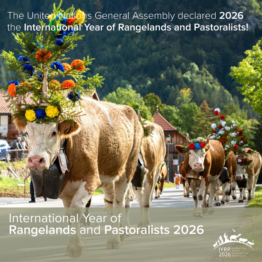 IYRP 2026