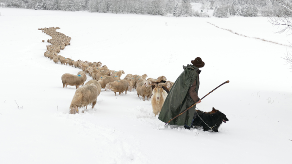 Photo: by Cordula Kelle-Dingel