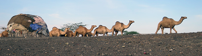 Sorio festival in Kargi, Marsabit County, Kenya